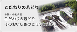top_kadawari_p1.png